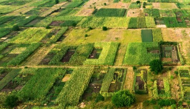 Sell inherited land for cash Louisiana